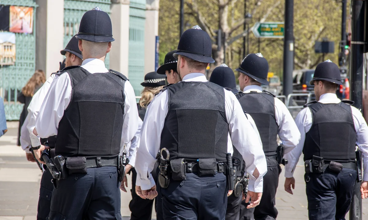 The Metropolitan Police: A System in Crisis