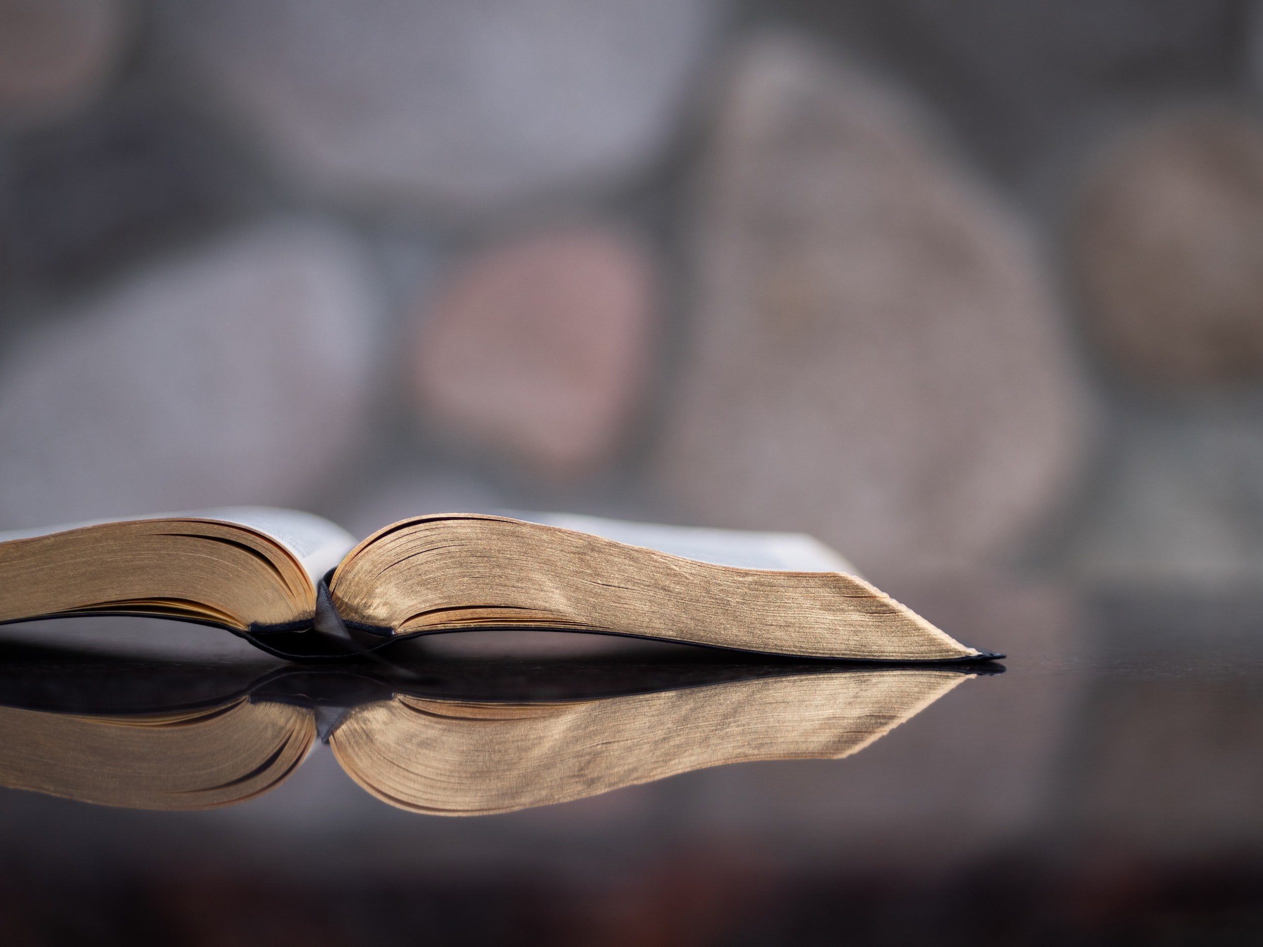 Hidden Mysteries and Contradictions in the Bible