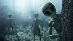 Do Aliens Exist? Insights from Scientists