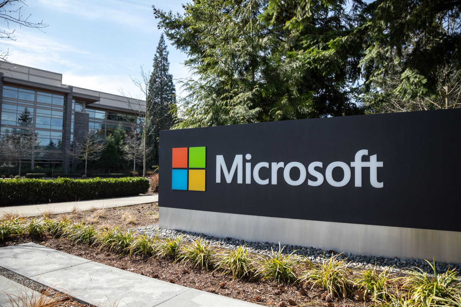 Microsoft Corporation's Growth Prospects in a Bull Market