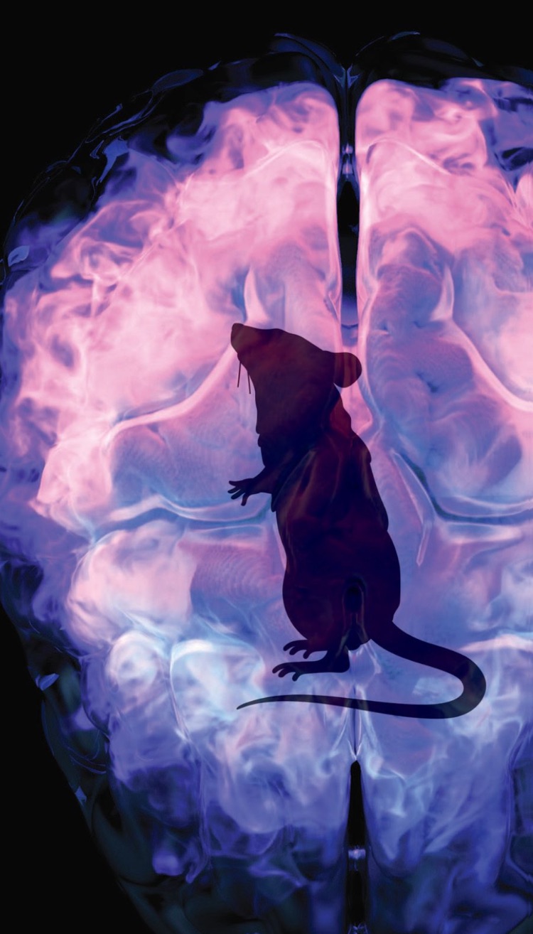 A Story of FIRE and Mice