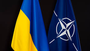 NATO-Ukraine Combat Analysis Center: A Strategic Development in Military Cooperation