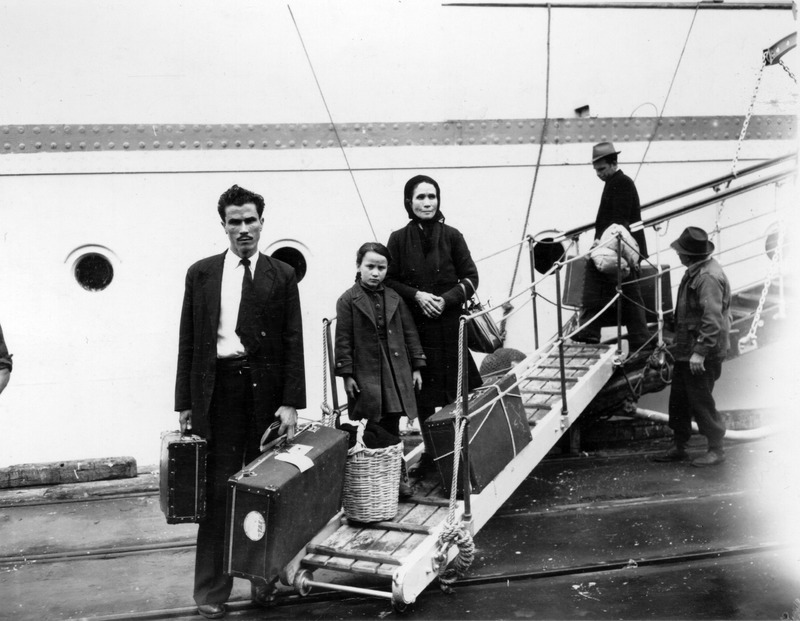 Navigating New Horizons Immigration Challenges and Triumphs in a Changing World