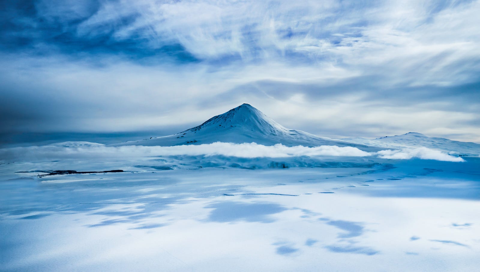 The Enigmatic Echoes of Julia A Haunting Mystery from the Pacific Depths