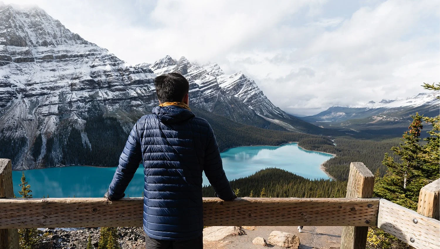 Navigating New Horizons: Immigration Policies, Visa Challenges, and the Human Stories of Adaptation