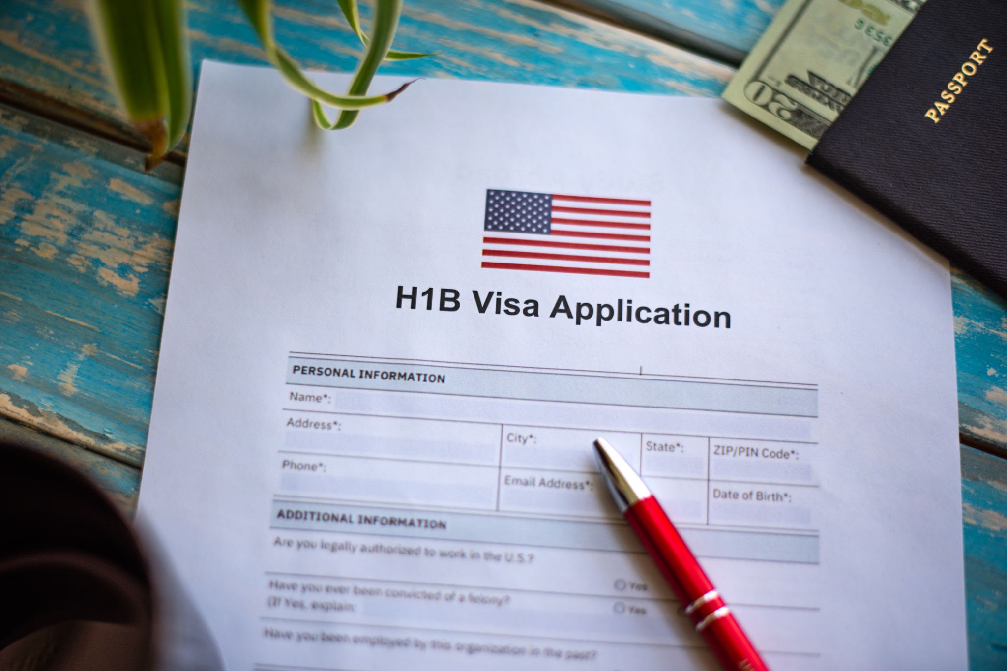 Navigating New Horizons: Immigration Policies, Visa Challenges, and Cultural Adaptation in 2025